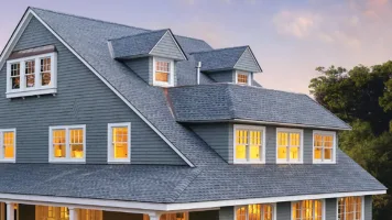 Professional Roofing