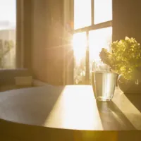 Energy Savings Windows Western Washington