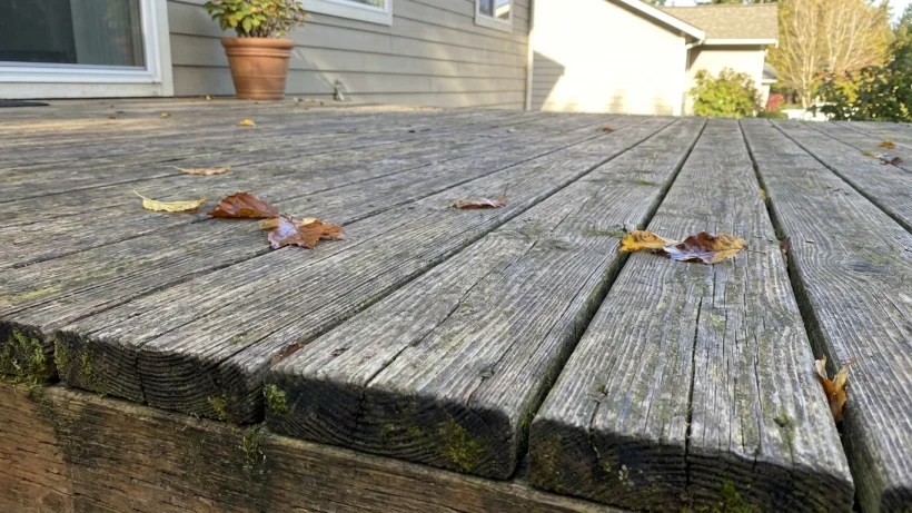 Wood decking: material choice and upkeep shape its service life