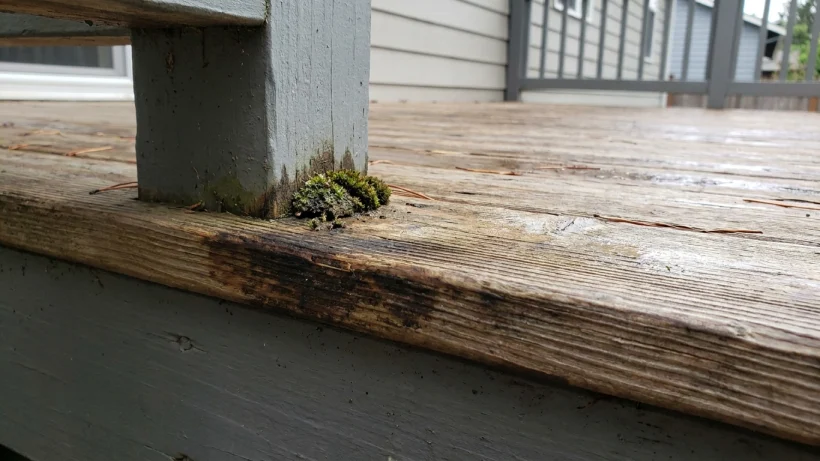 Moisture signals to notice before you inspect closely