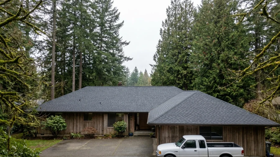 A Washington Homeowner's Guide to Roof Maintenance and Moss Prevention