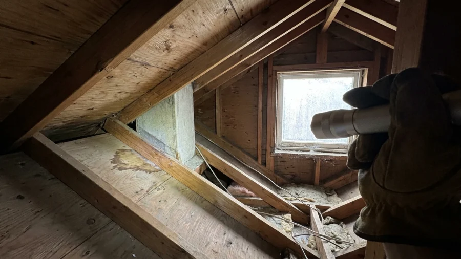 Roof Deck Moisture: Spot Hidden Damp Before Replacing in Washington