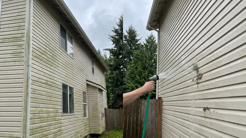 Before and after showing algae removal from exterior siding using a garden hose.