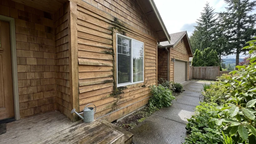 Clues that may point to damage behind the siding